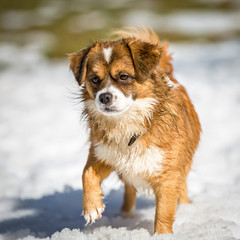 Schritt für Schritt