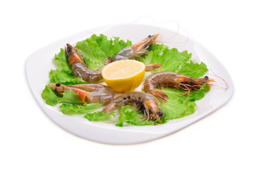 delicious fresh shrimps
