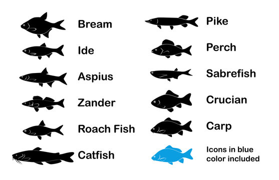 Set of River and Limnetic Fishes