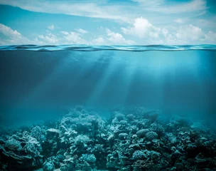 Poster Zee of oceaan onderwater diepe natuur achtergrond © Andrey Kuzmin