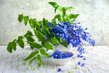 Still life bouquet polygonatum blue tones white crockery