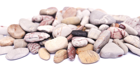 sea stones