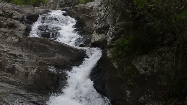 Cedar Creek Waterfall in Mount Tambourine.