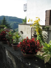 Morbello province of Alessandria