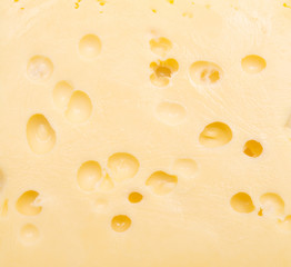 cheese