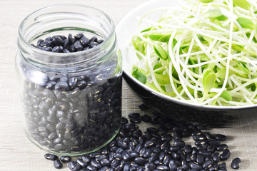 black bean and sprouts