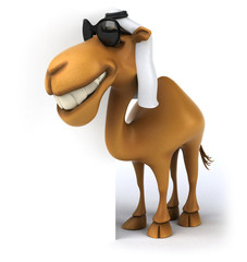 Fun camel