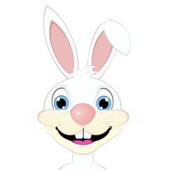 cartoon white bunny