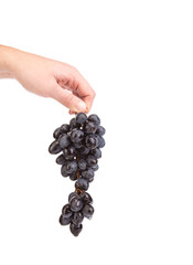 Black grapes in hand.