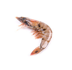 Raw tiger shrimp