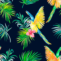 Macaw seamless pattern. Black background. Palm leaves and tropic