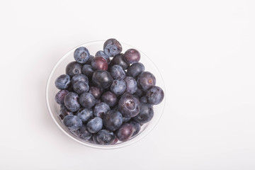 Blueberries in Cup on White