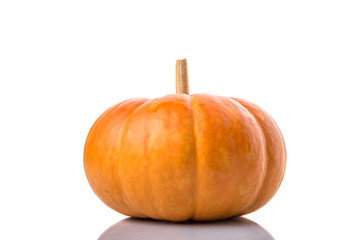 Pumpkin squash over white background
