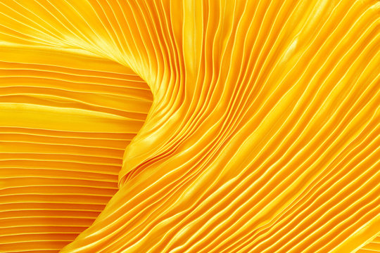 gold fabric silk for background