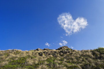 Fototapeta na wymiar Detail of a heart shaped clud on a blue sky