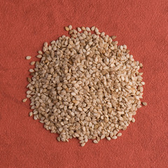 Circle of sesame seeds