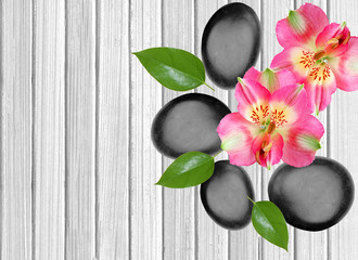 Black spa stones and pink orchid on white wooden background