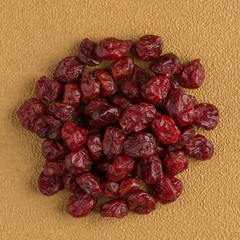 Circle of dried cranberries