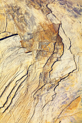 Detail of a rock´s texture