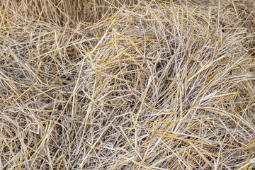 straw