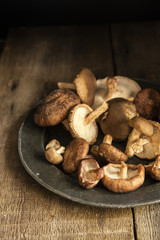 Fresh shiitake mushrooms in moody natural light setting with vin