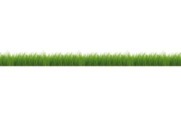 Naklejka premium gras
