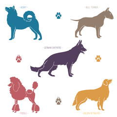 Set of different dog breeds silhouettes.