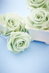 roses