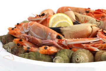 Fuits de mer