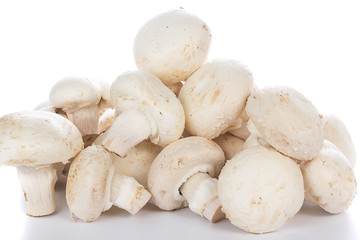 Button mushrooms on white background with reflection