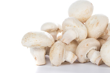 Button mushrooms on white background with reflection