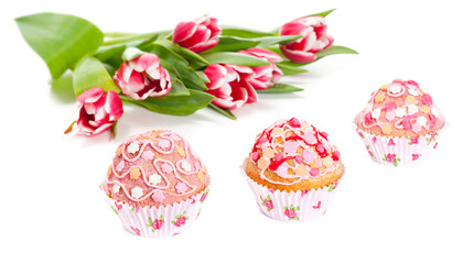 Fototapeta na wymiar Cupcakes and tulips isolated on white