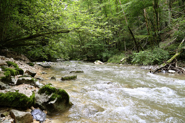 Rivière