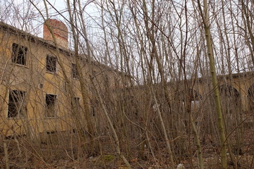 Pustistany © basia56