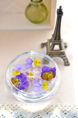 エッフェル塔とビオラ