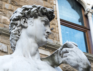 Naklejka premium Florence (Firenze)