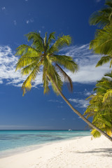 DOMINICAN REPUBLIC, BEACH OF SAONA ISLAND