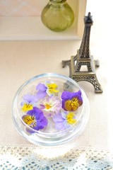 エッフェル塔とビオラ