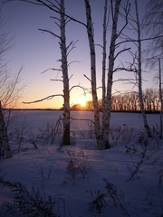 Sunset winter