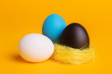 eggs on a yellow background