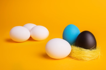 eggs on a yellow background