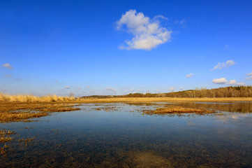 cloud in sky above small lake