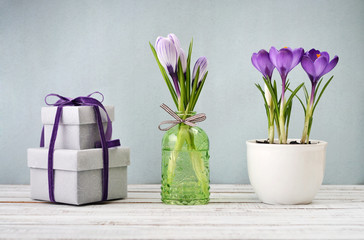 Gift boxes  and crocus