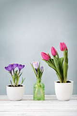 Fototapeta na wymiar Tulips and crocus