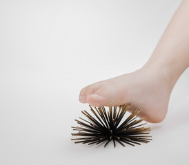 reflexology foot massage therapy with artificial sea urchins