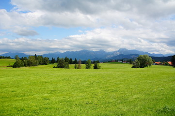 Fototapeta premium grüne Landschaft bei Pfronten