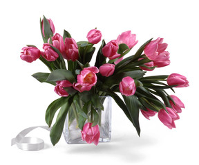 bouquet of red tulips isolated on a white background