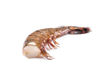 fresh shrimp