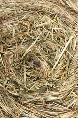 hay nest texture for background
