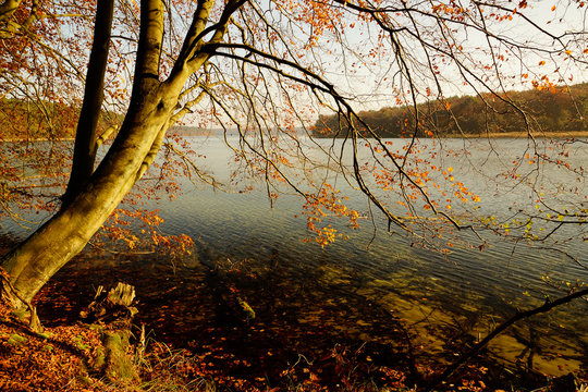 Stechlinsee